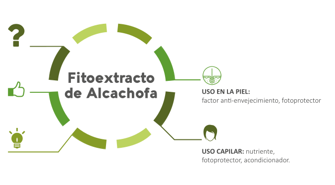 Fitoextractode Alcachofa