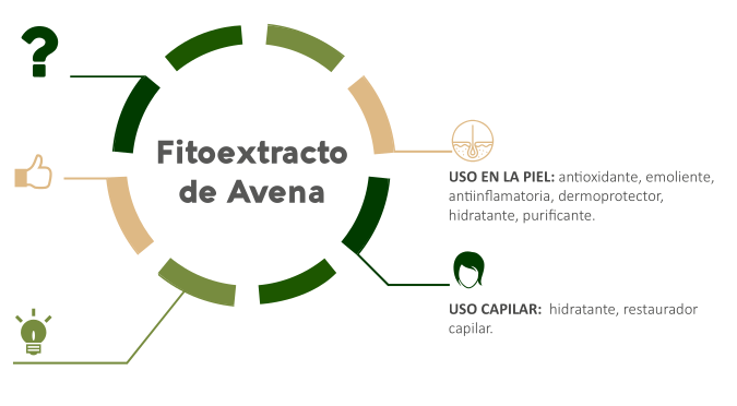 Avena: Más Allá del Desayuno – Descubre los Secretos del Fitoextracto para Piel y Cabello