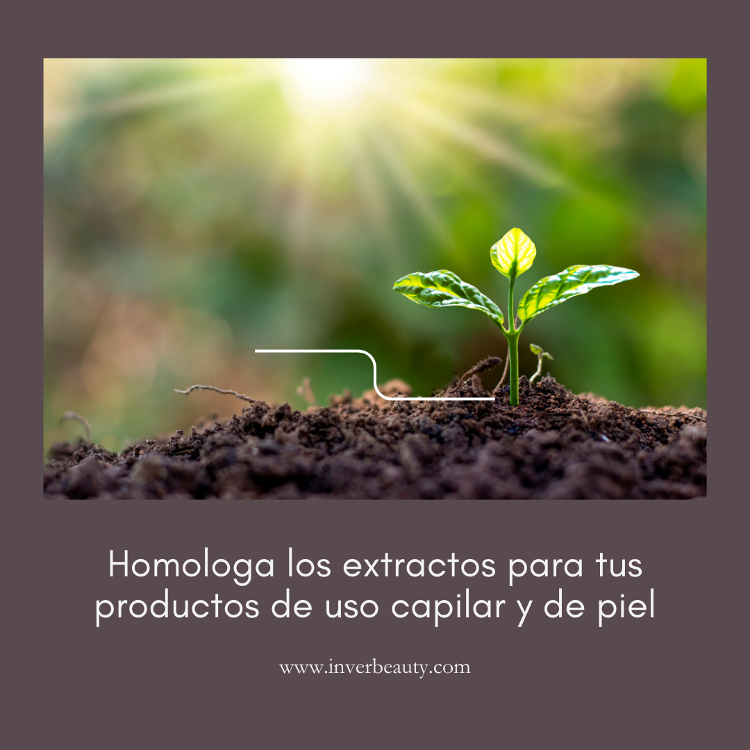 Homologación de extractos